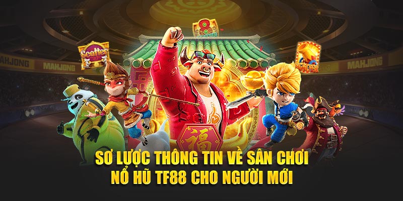 Sơ lược thông tin về sân chơi giải trí chất lượng cho người mới